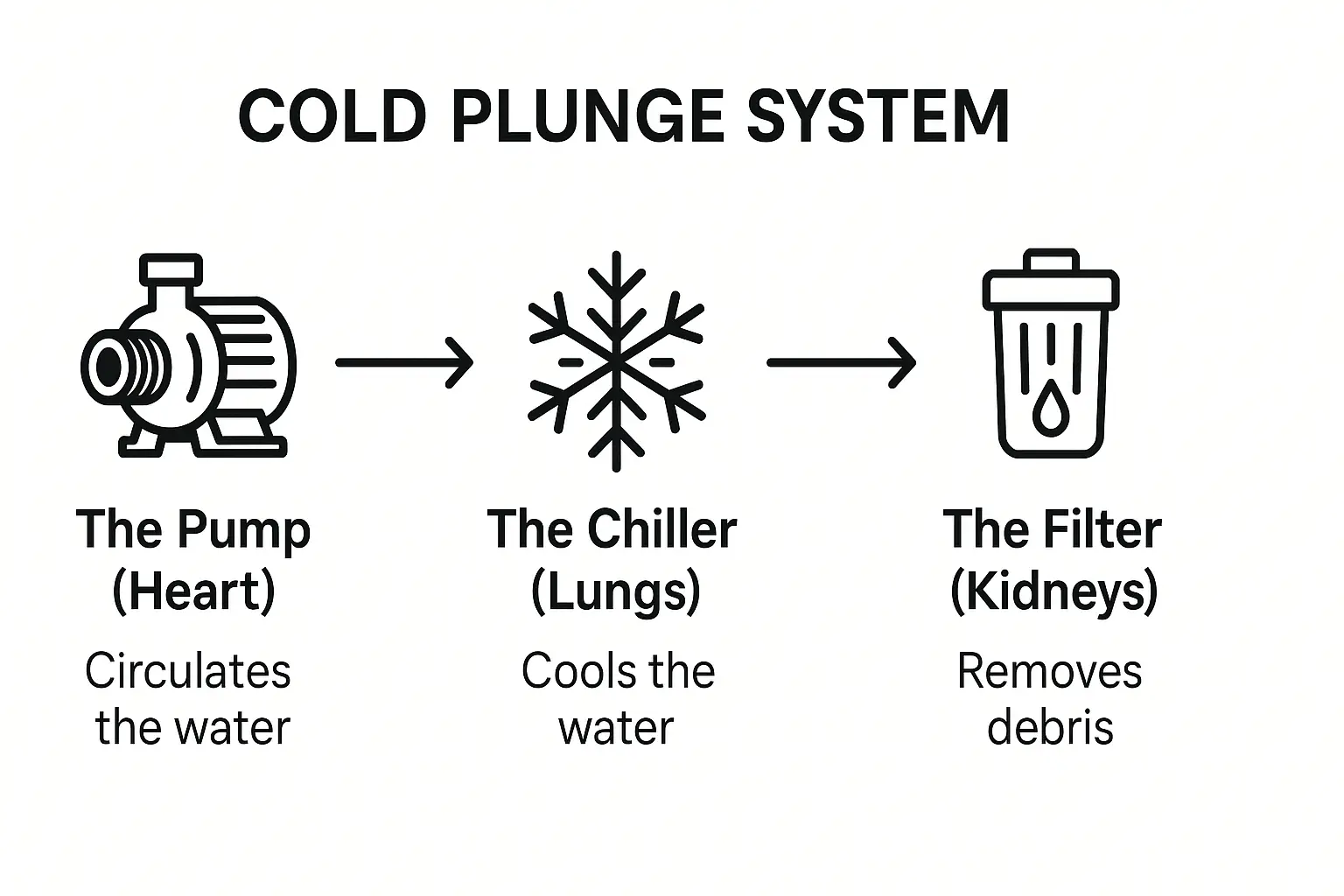 Comparison of a pump, a chiller, and a filter in a cold plunge system